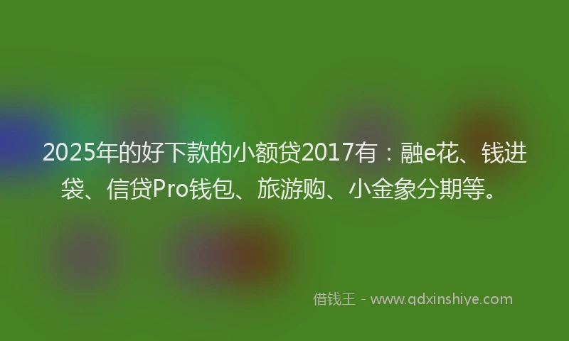 2025年的好下款的小额贷2017有：融e花、钱进袋、信贷Pro钱包、旅游购、小金象分期等。
