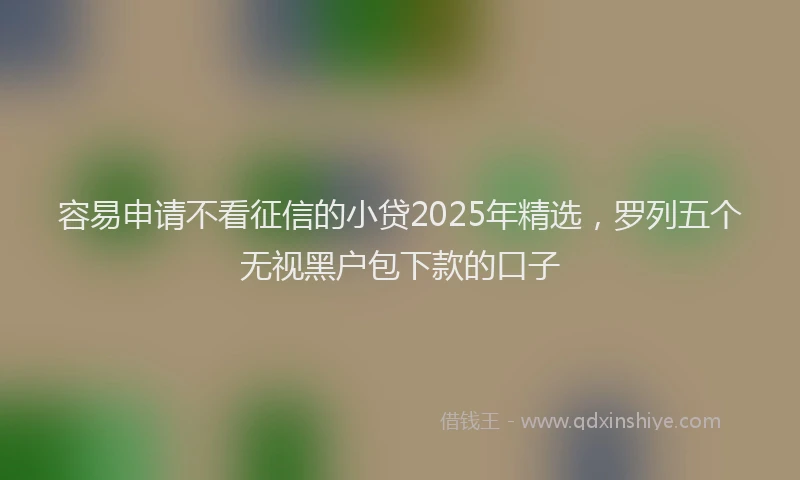 容易申请不看征信的小贷2025年精选，罗列五个无视黑户包下款的口子