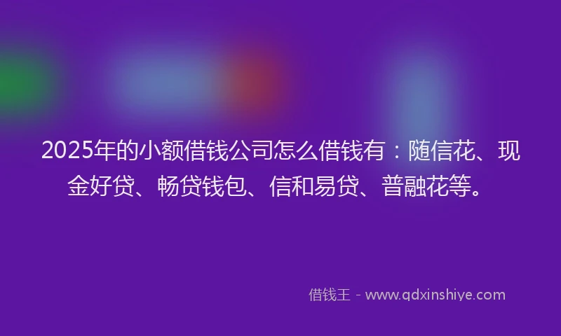 2025年的小额借钱公司怎么借钱有：随信花、现金好贷、畅贷钱包、信和易贷、普融花等。