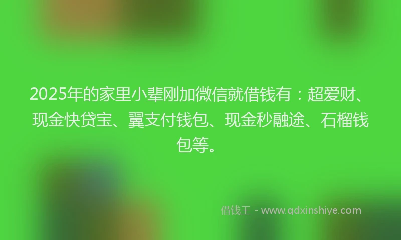 2025年的家里小辈刚加微信就借钱有：超爱财、现金快贷宝、翼支付钱包、现金秒融途、石榴钱包等。