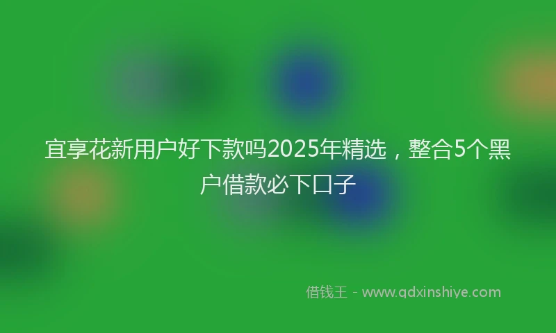 宜享花新用户好下款吗2025年精选，整合5个黑户借款必下口子