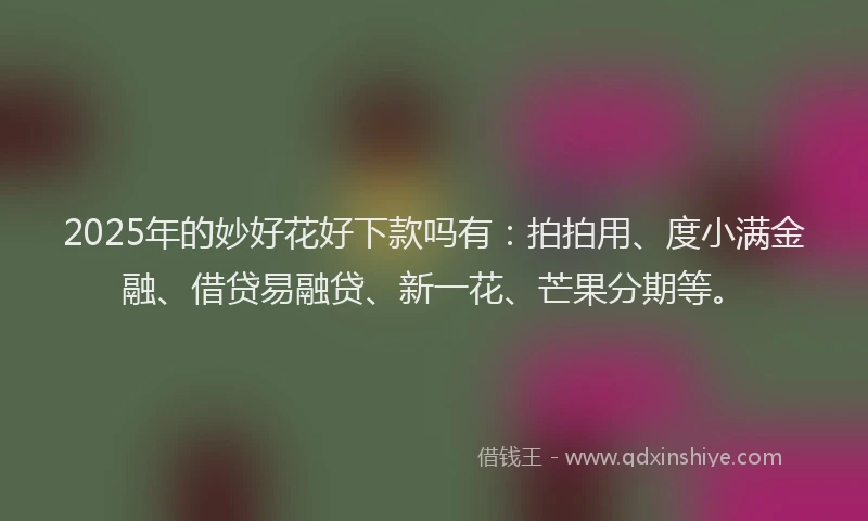 2025年的妙好花好下款吗有：拍拍用、度小满金融、借贷易融贷、新一花、芒果分期等。