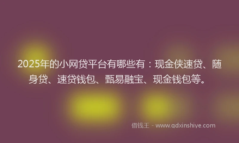 2025年的小网贷平台有哪些有：现金侠速贷、随身贷、速贷钱包、甄易融宝、现金钱包等。