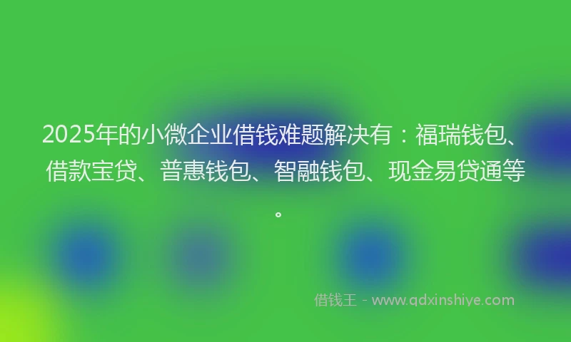 2025年的小微企业借钱难题解决有：福瑞钱包、借款宝贷、普惠钱包、智融钱包、现金易贷通等。