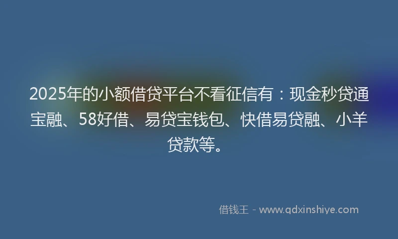 2025年的小额借贷平台不看征信有:现金秒贷通宝融、58好借、易贷宝钱包、快借易贷融、小羊贷款等。
