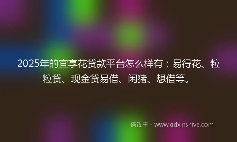 2025年的宜享花贷款平台怎么样有：易得花、粒粒贷、现金贷易借、闲猪、想借等。