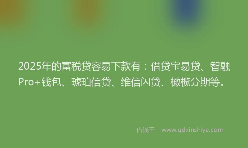 2025年的富税贷容易下款有：借贷宝易贷、智融Pro+钱包、琥珀信贷、维信闪贷、橄榄分期等。