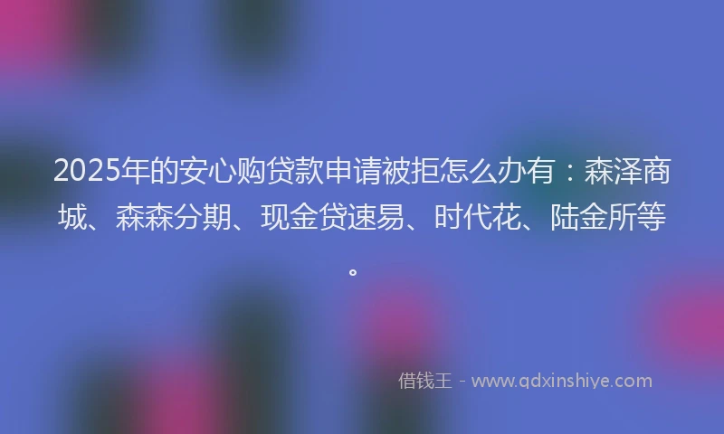 2025年的安心购贷款申请被拒怎么办有：森泽商城、森森分期、现金贷速易、时代花、陆金所等。