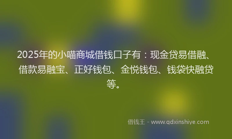 2025年的小喵商城借钱口子有：现金贷易借融、借款易融宝、正好钱包、金悦钱包、钱袋快融贷等。