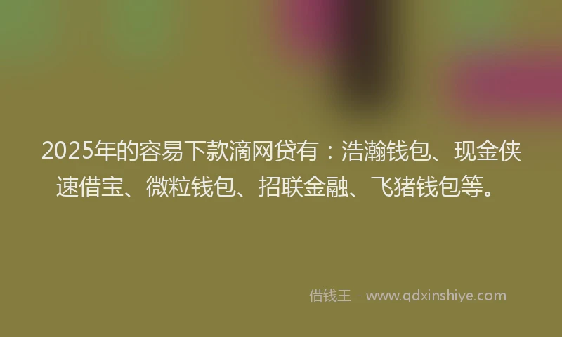 2025年的容易下款滴网贷有：浩瀚钱包、现金侠速借宝、微粒钱包、招联金融、飞猪钱包等。