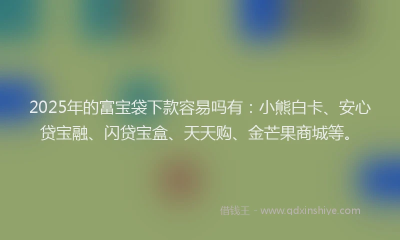 2025年的富宝袋下款容易吗有：小熊白卡、安心贷宝融、闪贷宝盒、天天购、金芒果商城等。