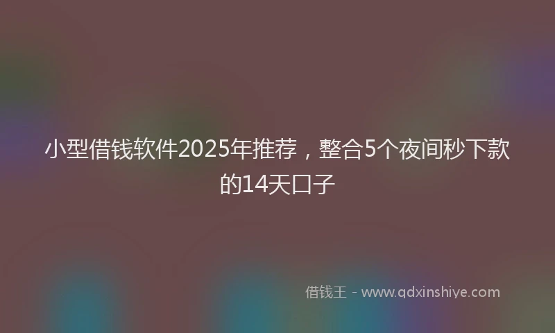 小型借钱软件2025年推荐，整合5个夜间秒下款的14天口子