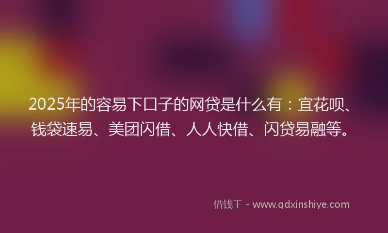 2025年的容易下口子的网贷是什么有：宜花呗、钱袋速易、美团闪借、人人快借、闪贷易融等。