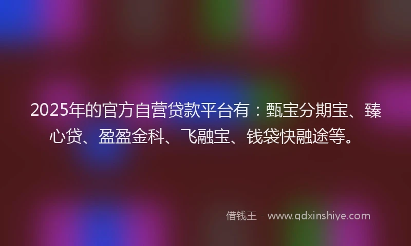 2025年的官方自营贷款平台有：甄宝分期宝、臻心贷、盈盈金科、飞融宝、钱袋快融途等。