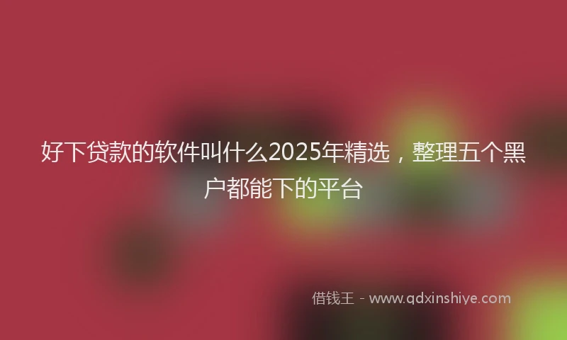 好下贷款的软件叫什么2025年精选，整理五个黑户都能下的平台