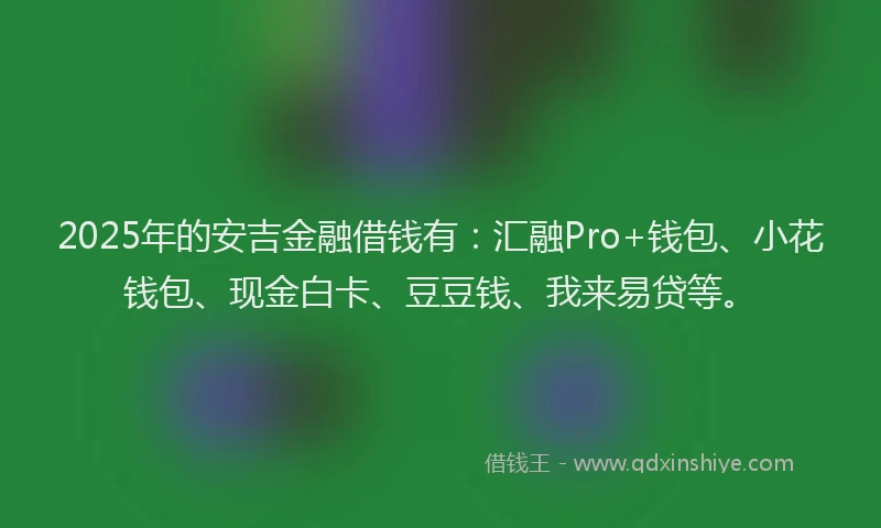 2025年的安吉金融借钱有：汇融Pro+钱包、小花钱包、现金白卡、豆豆钱、我来易贷等。
