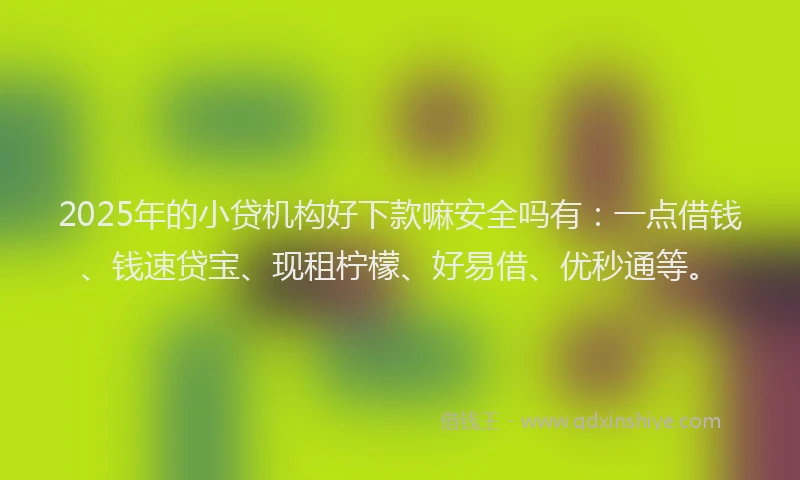 2025年的小贷机构好下款嘛安全吗有：一点借钱、钱速贷宝、现租柠檬、好易借、优秒通等。