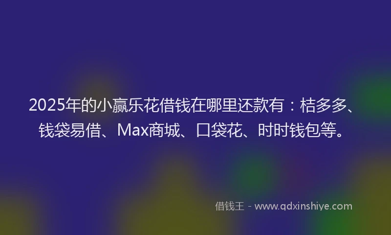 2025年的小赢乐花借钱在哪里还款有：桔多多、钱袋易借、Max商城、口袋花、时时钱包等。