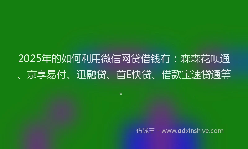 2025年的如何利用微信网贷借钱有：森森花呗通、京享易付、迅融贷、首E快贷、借款宝速贷通等。