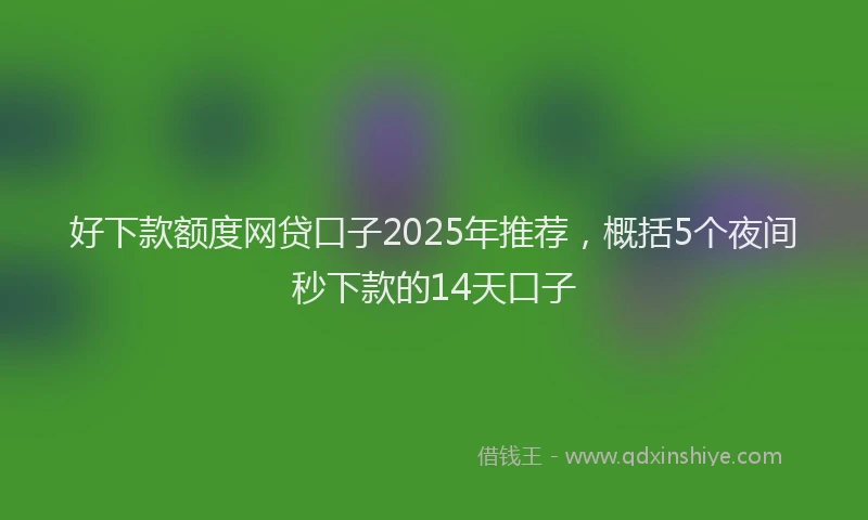 好下款额度网贷口子2025年推荐，概括5个夜间秒下款的14天口子