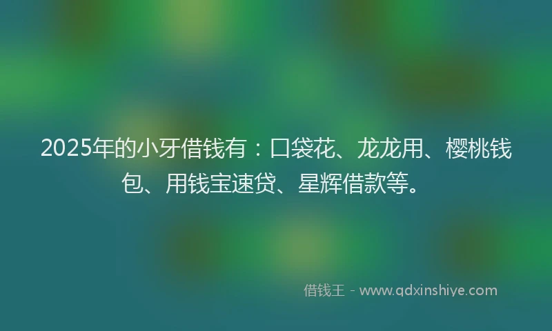 2025年的小牙借钱有：口袋花、龙龙用、樱桃钱包、用钱宝速贷、星辉借款等。