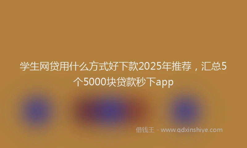学生网贷用什么方式好下款2025年推荐，汇总5个5000块贷款秒下app