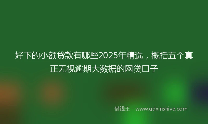 好下的小额贷款有哪些2025年精选，概括五个真正无视逾期大数据的网贷口子