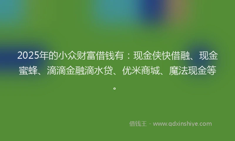 2025年的小众财富借钱有：现金侠快借融、现金蜜蜂、滴滴金融滴水贷、优米商城、魔法现金等。