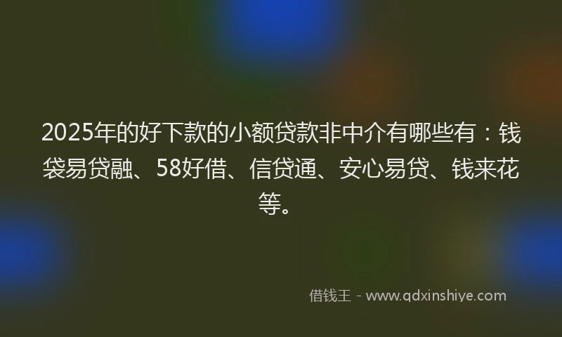 2025年的好下款的小额贷款非中介有哪些有：钱袋易贷融、58好借、信贷通、安心易贷、钱来花等。