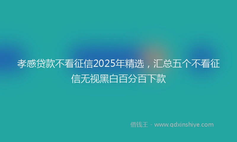 孝感贷款不看征信2025年精选，汇总五个不看征信无视黑白百分百下款