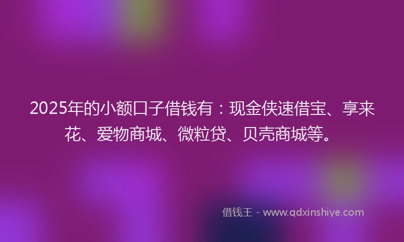 2025年的小额口子借钱有：现金侠速借宝、享来花、爱物商城、微粒贷、贝壳商城等。