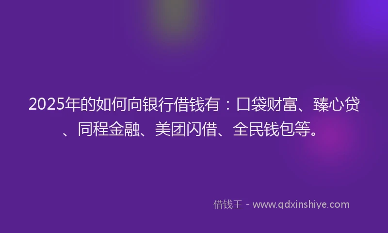 2025年的如何向银行借钱有：口袋财富、臻心贷、同程金融、美团闪借、全民钱包等。