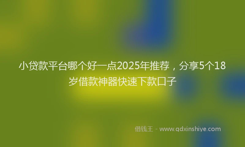 小贷款平台哪个好一点2025年推荐，分享5个18岁借款神器快速下款口子