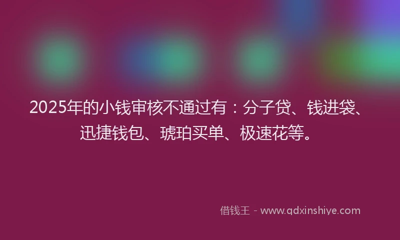 2025年的小钱审核不通过有：分子贷、钱进袋、迅捷钱包、琥珀买单、极速花等。