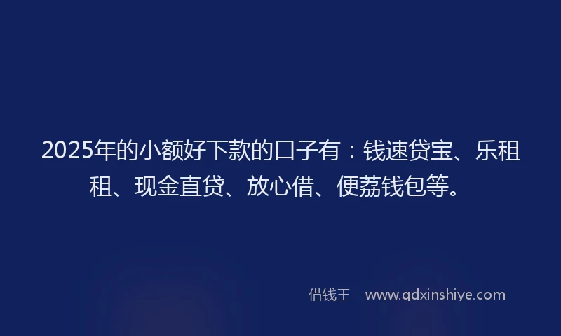2025年的小额好下款的口子有：钱速贷宝、乐租租、现金直贷、放心借、便荔钱包等。