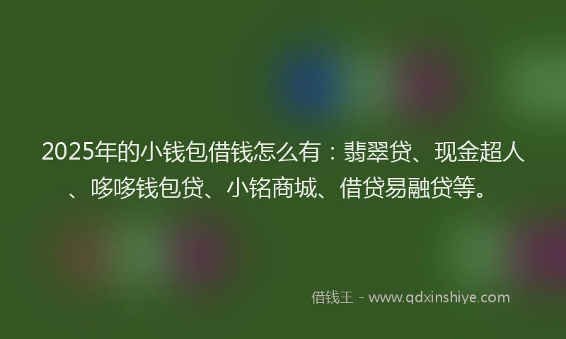 2025年的小钱包借钱怎么有：翡翠贷、现金超人、哆哆钱包贷、小铭商城、借贷易融贷等。