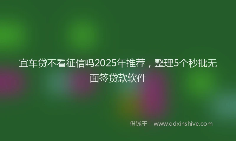 宜车贷不看征信吗2025年推荐，整理5个秒批无面签贷款软件