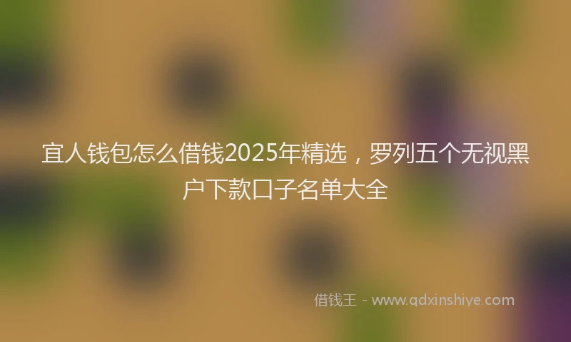宜人钱包怎么借钱2025年精选，罗列五个无视黑户下款口子名单大全