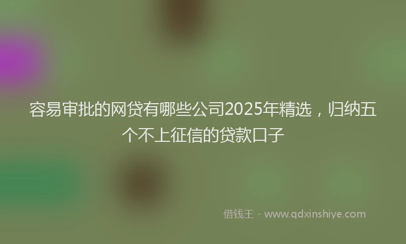 容易审批的网贷有哪些公司2025年精选，归纳五个不上征信的贷款口子
