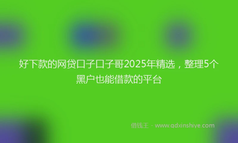 好下款的网贷口子口子哥2025年精选，整理5个黑户也能借款的平台