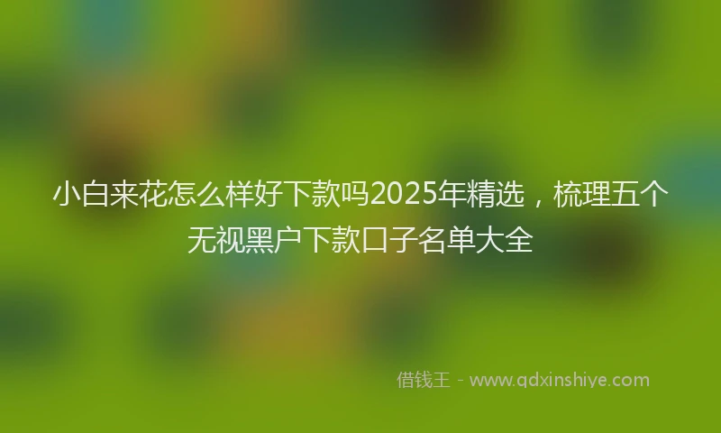 小白来花怎么样好下款吗2025年精选，梳理五个无视黑户下款口子名单大全