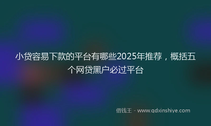 小贷容易下款的平台有哪些2025年推荐，概括五个网贷黑户必过平台