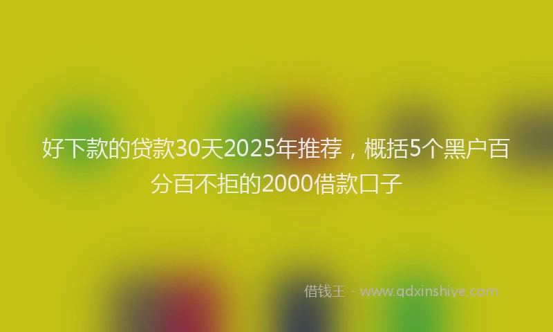 好下款的贷款30天2025年推荐，概括5个黑户百分百不拒的2000借款口子