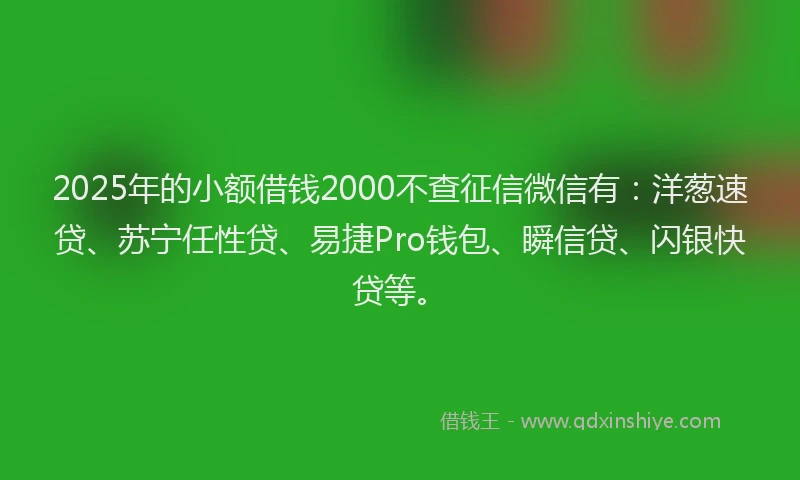 2025年的小额借钱2000不查征信微信有：洋葱速贷、苏宁任性贷、易捷Pro钱包、瞬信贷、闪银快贷等。