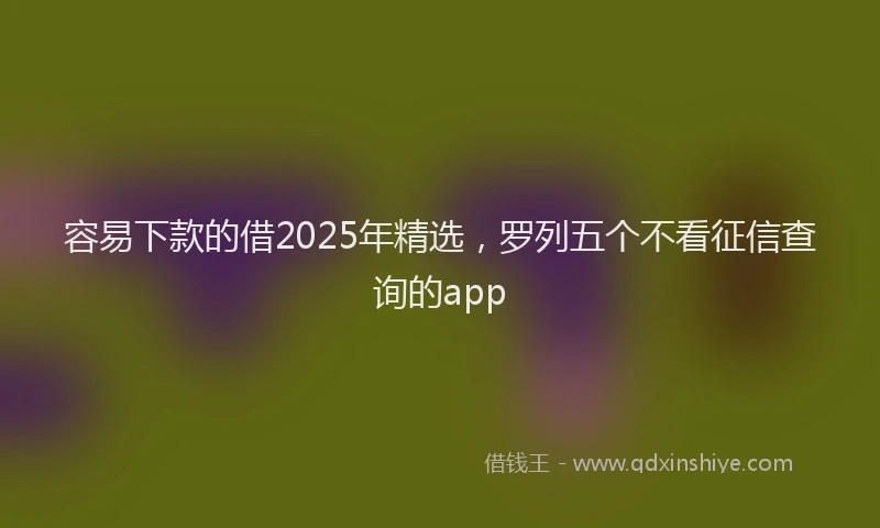 容易下款的借2025年精选，罗列五个不看征信查询的app