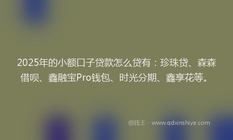 2025年的小额口子贷款怎么贷有：珍珠贷、森森借呗、鑫融宝Pro钱包、时光分期、鑫享花等。