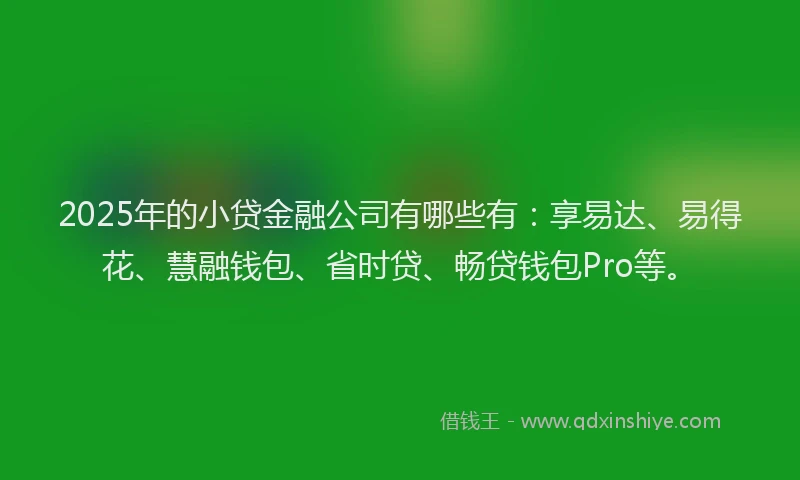 2025年的小贷金融公司有哪些有：享易达、易得花、慧融钱包、省时贷、畅贷钱包Pro等。