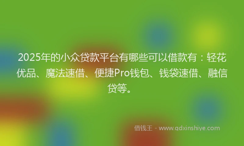 2025年的小众贷款平台有哪些可以借款有：轻花优品、魔法速借、便捷Pro钱包、钱袋速借、融信贷等。