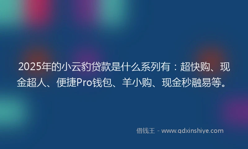 2025年的小云豹贷款是什么系列有：超快购、现金超人、便捷Pro钱包、羊小购、现金秒融易等。