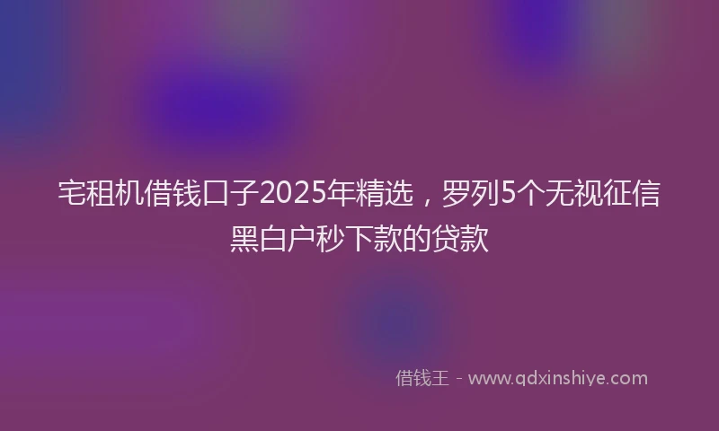宅租机借钱口子2025年精选，罗列5个无视征信黑白户秒下款的贷款